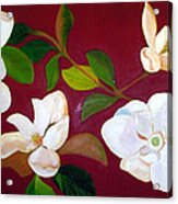 White Magnolias Acrylic Print