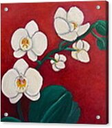 White Orchids Acrylic Print