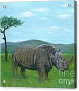 White Rhinoceros Acrylic Print