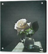 White Rose Still Life Acrylic Print
