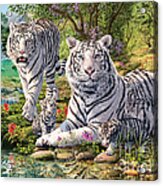 White Tiger Clan Acrylic Print