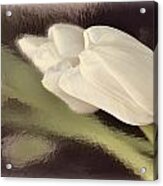 White Tulip Reflected In Misty Water Acrylic Print