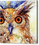Wide Eyed_ The Owl Acrylic Print