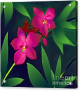 Wild Orchids Acrylic Print