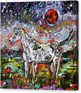 Wild Pony Under Crimson Moon Acrylic Print