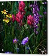 Wildflowers A Bloomin Acrylic Print