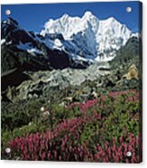 Wildflowers And Kangshung Glacier Acrylic Print
