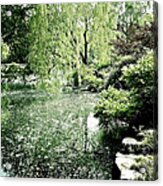 Willow Overture Acrylic Print