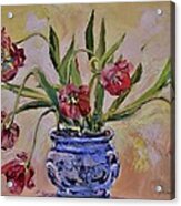 Wilting Tulips Acrylic Print