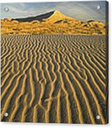 Wind Ripples In Kelso Dunes California Acrylic Print