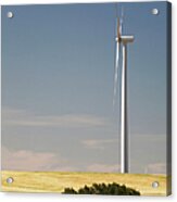 Wind Turbine In Rolling Hills With Blue Acrylic Print