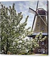 Windmill At Windmill Gardens Holland Acrylic Print