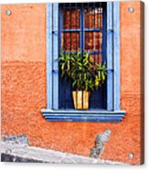 Window In San Miguel De Allende Mexico Acrylic Print