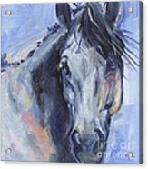 Grey Horse Painting Winter Blues Acrylic Print