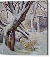 Winter Acrylic Print