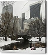 Winter In Central Park Acrylic Print