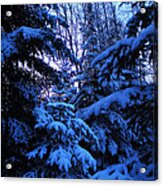 Winter Lace Acrylic Print