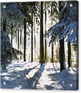 Winter Landscape Acrylic Print