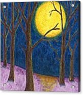 Winter Moon Acrylic Print