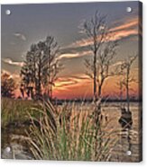 Winter On The Waccamaw River Acrylic Print