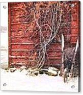 Winter Scene With Barn And Wheelbarrow/ Digital Painting Acrylic Print