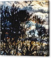 Winter Sky Acrylic Print