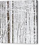 Winter Storm Acrylic Print