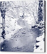 Winter Stream Acrylic Print