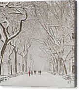 Poet's Walk In Winter Splendor-228 Acrylic Print