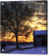 Winter Sunset Acrylic Print