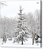 Winter White-out Acrylic Print