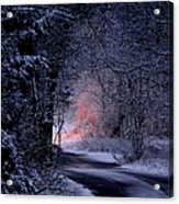 Winter Wonderland Acrylic Print
