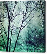 Wintergreen Twilight Acrylic Print