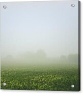 Winters Foggy Morning Across The Farmers Field Acrylic Print