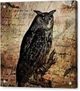 Wise Old Owl Acrylic Print