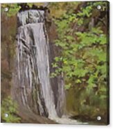 Wolf Creek Falls Acrylic Print