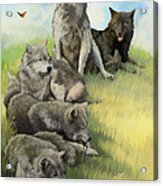 Wolf Gathering Lazy Acrylic Print