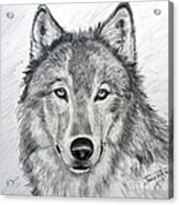 Wolf Acrylic Print