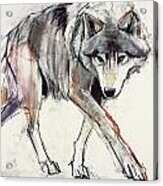 Wolf Acrylic Print