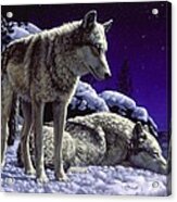 Wolf Painting - Night Watch Acrylic Print