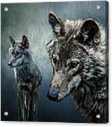 Wolves In Moonlight Acrylic Print