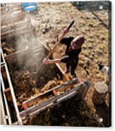 Woman Turning Compost Pile In Morning Acrylic Print