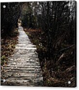 Wooden Walkway Acrylic Print