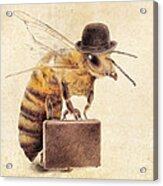 Worker Bee Acrylic Print