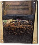 Wormery For Making Compost Acrylic Print