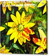 Yellow Daisies Acrylic Print
