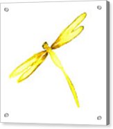 Yellow Dragonfly Acrylic Print