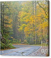 Yellow Fall Roadside Scenic Acrylic Print