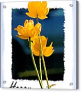 Yellow Flower 2 Acrylic Print