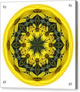 Yellow Flower Sphere Mandala Acrylic Print
